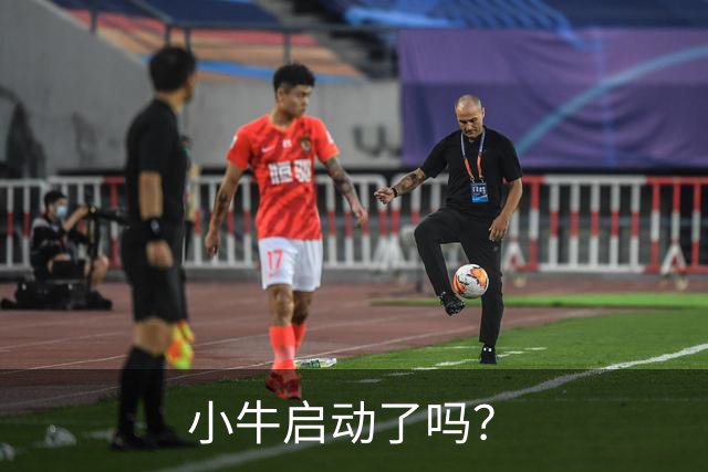 小牛启动了吗？